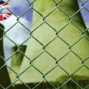 green chainlink fencing jb corrie